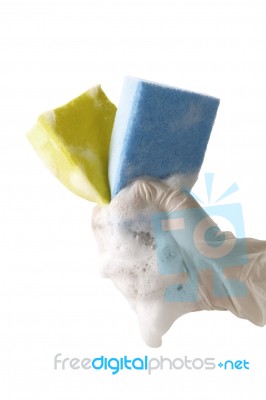 Hand Holding Sponges Stock Photo