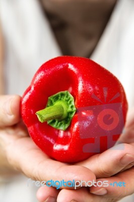 Hand Holding Sweet Pepper Stock Photo