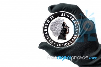 Hand In Black Glove Holding Large Silver Dollars Coin Stock Photo