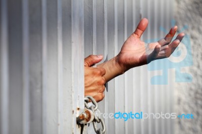 Hand In Jail Stock Photo