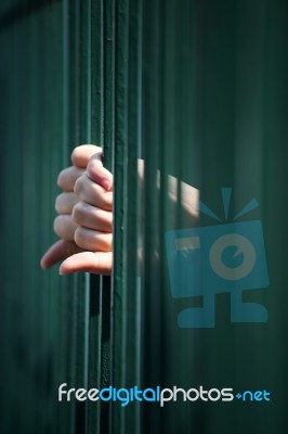 Hand In Jail Stock Photo