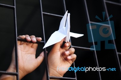 Hand In Jail Showing Origami Bird Stock Photo