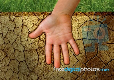 Hand In The Ground Stock Image