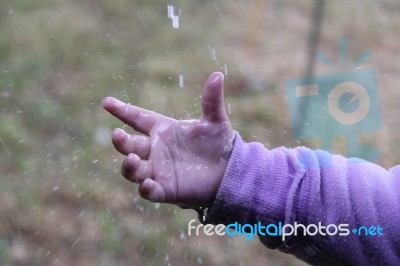 Hand In The Rain Stock Photo