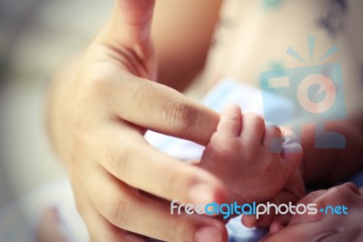 Hand Of A Baby Holding Mother's Finger Stock Photo