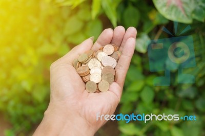 Hand Of Young Man With Coins Stock Photo