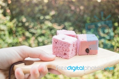 Hand On Serving Thai Steamed Cotton Cake Stock Photo