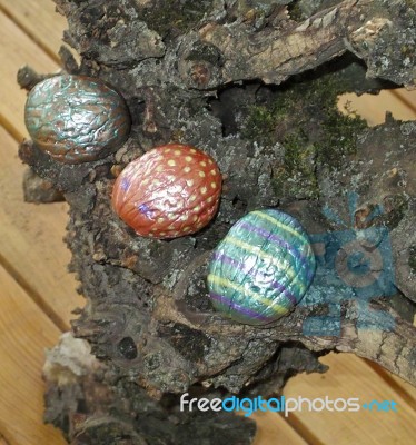 Hand Painted Walnuts Shells Stock Photo