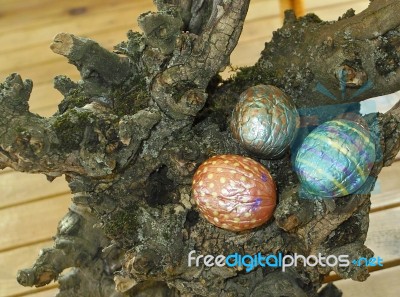 Hand Painted Walnuts Shells Stock Photo