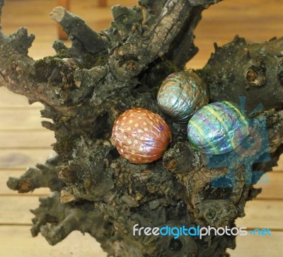 Hand Painted Walnuts Shells Stock Photo