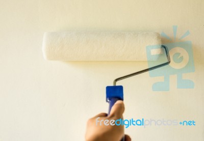 Hand Painting Wall With Paint Roller Stock Photo