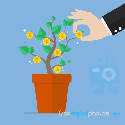 Hand Pick A Coin From Money Plant Stock Image