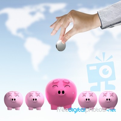 Hand Putting Coin Into Piggy Stock Photo