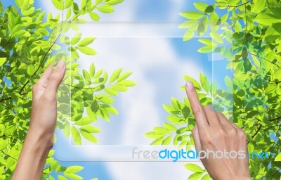 Hand Touch To Nature With Tablet Stock Photo