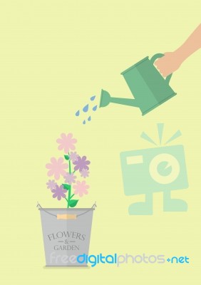 Hand Watering Flower In Pot Stock Image