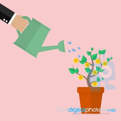 Hand Watering Money Plant Stock Image