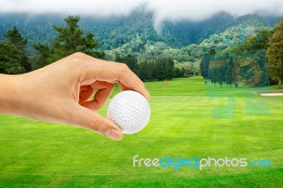 Hand With Ball In Golf Course Stock Photo