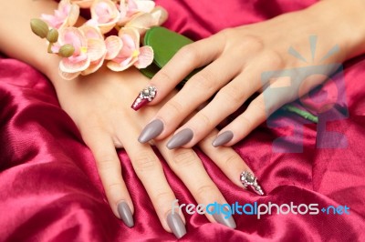 Hand With French Manicure Stock Photo