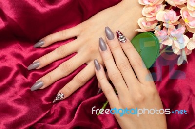 Hand With French Manicure Stock Photo