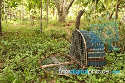 Handmade Bird Trap Stock Photo