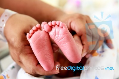 Hands Hold Baby Newborn Feet Stock Photo