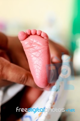 Hands Hold Baby Newborn Foot Stock Photo