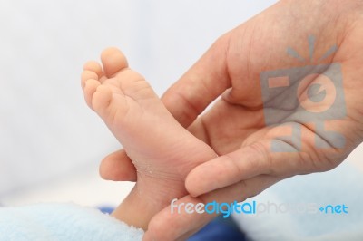 Hands Holding A Baby Foot Stock Photo