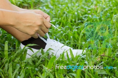 Hands Lacing With In The Sneaker Stock Photo