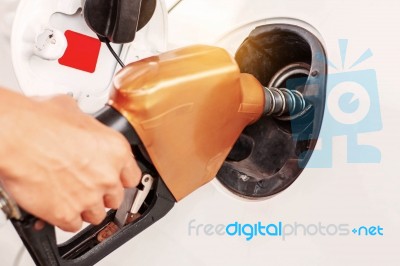 Hands Of Fueling Cars Stock Photo