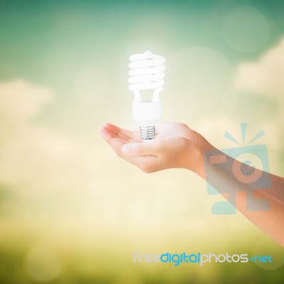 Hands Of Little Girl Holding Light Bulb Stock Photo