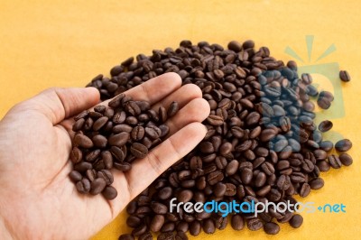 Hands With Coffee Beans Stock Photo