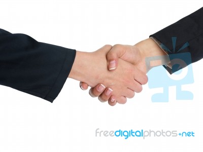 Handshaking Business People Stock Photo