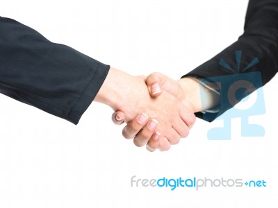 Handshaking Business People Stock Photo