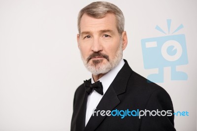 Handsome Aged Businessman Stock Photo