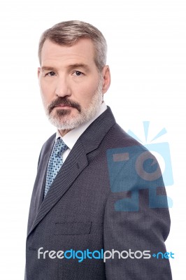 Handsome Aged Businessman Stock Photo