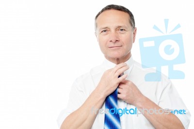 Handsome Business Man Tying His Tie Stock Photo