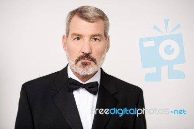 Handsome Business Tycoon Posing Stock Photo