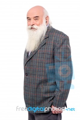 Handsome Old Man In Suit Stock Photo