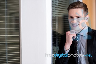 Handsome Young Businessman Stock Photo