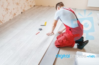 Handyman Laying Down Laminate Flooring Boards Stock Photo