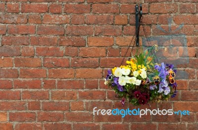 Hanging Flowers Pot Stock Photo