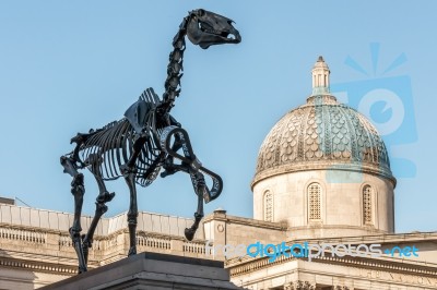 Hans Haacke Statue Gift Horse In Trafalgar Square Stock Photo