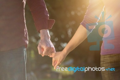 Happy Couple  In The Autumn Park Holding Hands Looking In The Su… Stock Photo