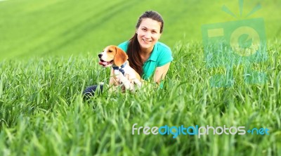 Happy Girl With Beagle Dog Stock Photo