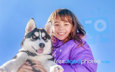 Happy Little Girl Holding Her Puppy Dog Husky Stock Photo