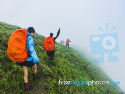 Happy People  With Arms Raised Up And  Enjoying  Beautiful Tropical Rainforest At And Beautiful Mountain Background  With  Nature Landscape Stock Photo