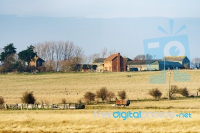 Harty Island, Kent/uk - January 17 : View Of A Farm On  Harty Is… Stock Photo