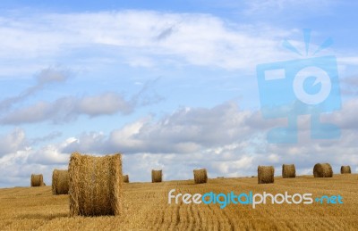 Harvest Time Stock Photo