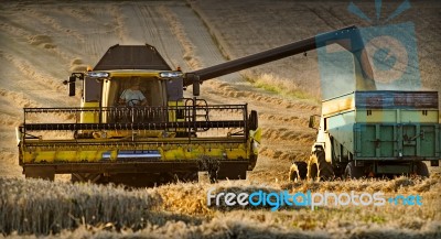 Harvest Time Stock Photo