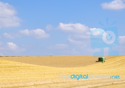 Harvest Time Stock Photo